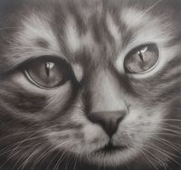 katze 20x20cm klein